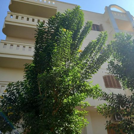 Elsanosy Family Guest House - Luxor Exterior foto